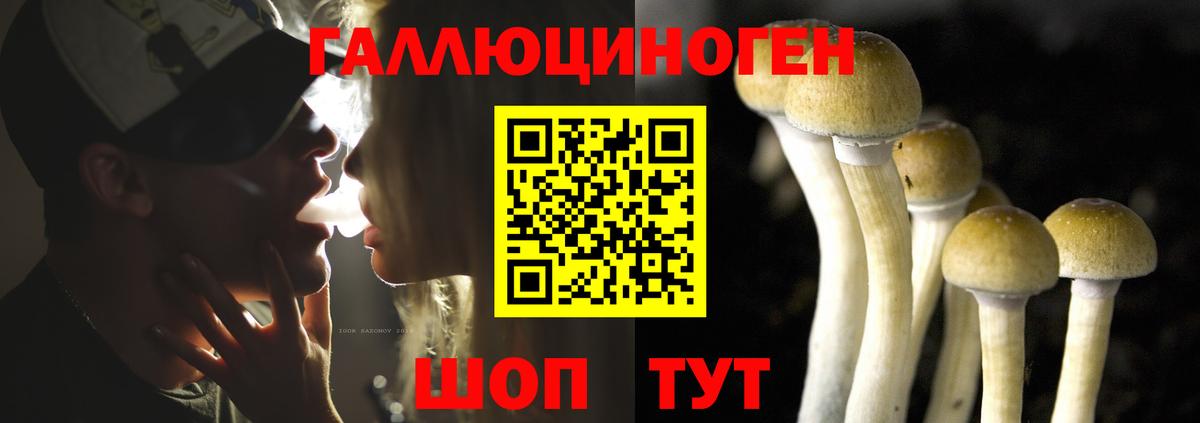 Галлюциногенные грибы ЛСД  даркнет сайт  Кувандык  Галлюциногенные грибы GOLDEN TEACHER  Вход с VPN 